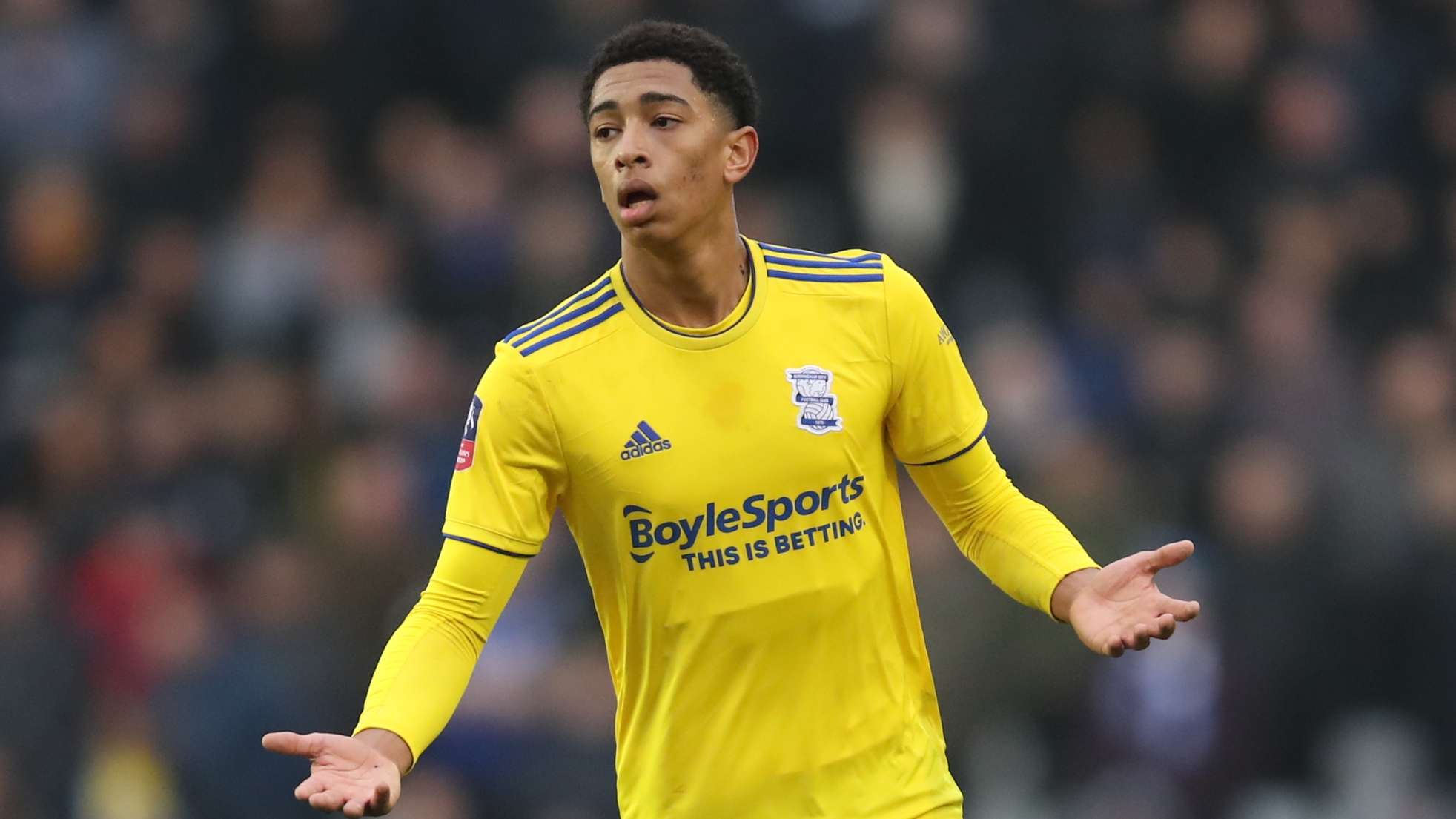 没有什么是 没有什么是